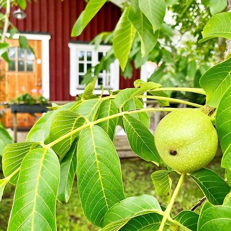 Holiday Home Malaretorpsvaegen Borgholm Exterior foto