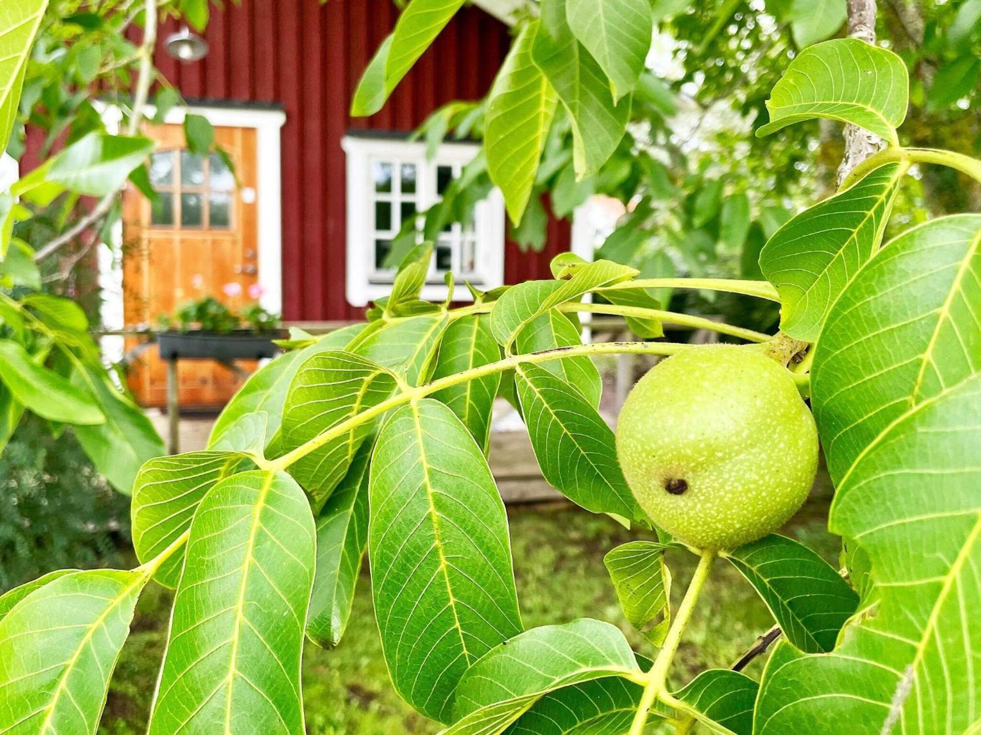 Holiday Home Malaretorpsvaegen Borgholm Exterior foto